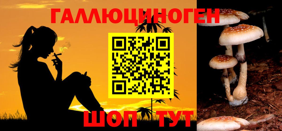 Балабаново  Галлюциногенные грибы Psilocybe  Вход с VPN 