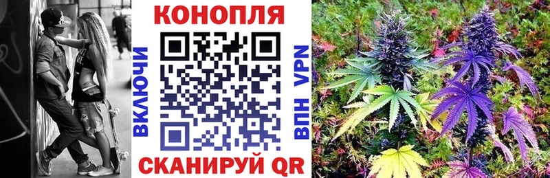 Бошки Шишки планчик  ссылка на мегу как войти  Балабаново 